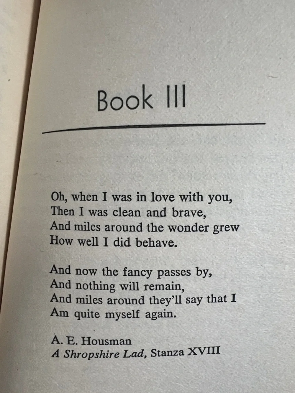 🌞 If I Loved You Wednessday by Jeannette Eyerly Cream Paperback Teenage Book